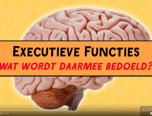 Wat zijn Executieve Functies?