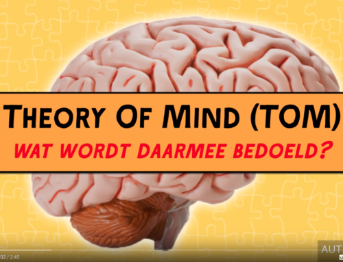 Wat is Theory of Mind?